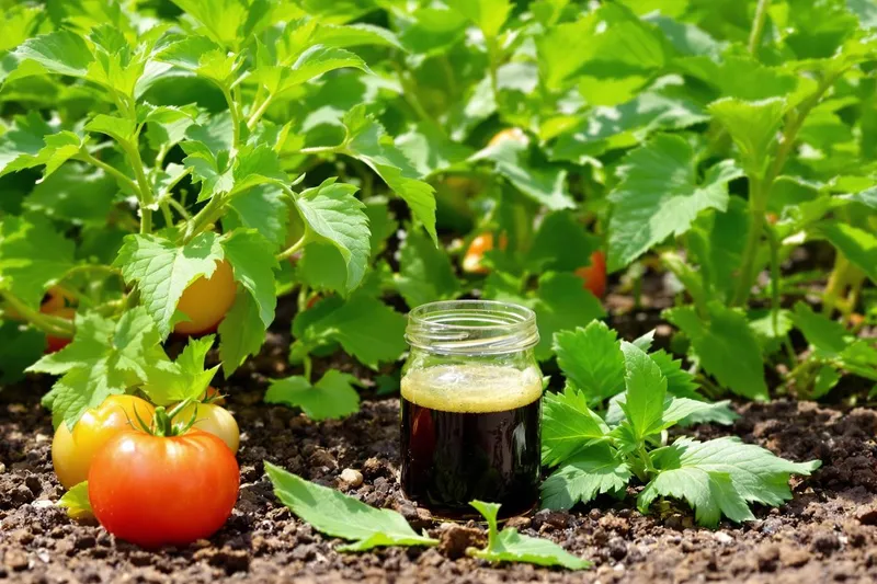 3-en-1 naturel : dynamisez vos plantes et repoussez les nuisibles sans dépenser d'argent grâce à ce purin