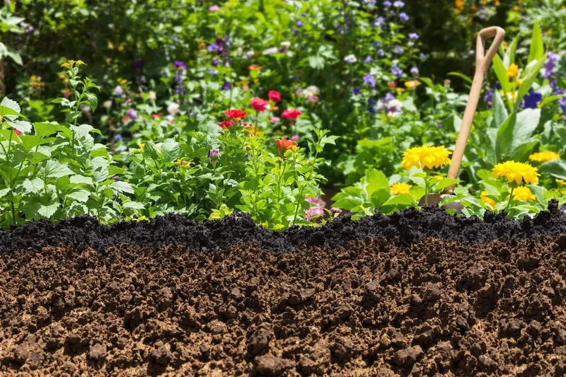 Comment ces 3 solutions simples peuvent transformer votre sol lourd et argileux en un paradis fertile prêt à planter ?