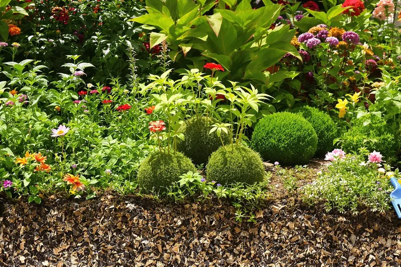 Comment cette technique japonaise a transformé mon sol sans engrais chimique ?