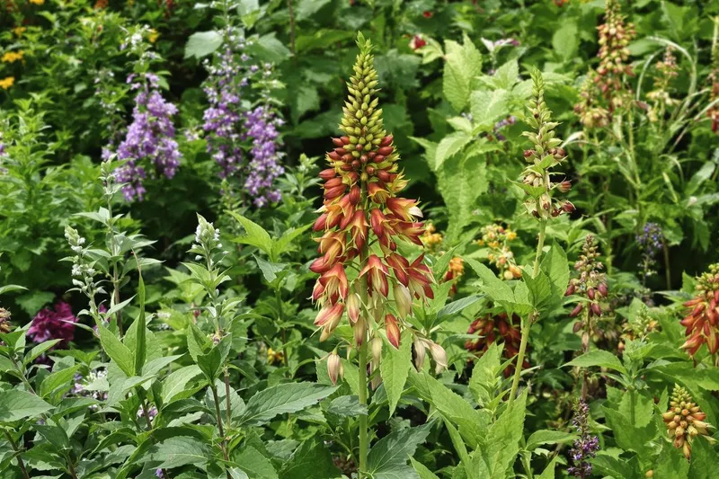 Comment chasser les taupes de votre jardin avec cette plante miracle sans effort ?