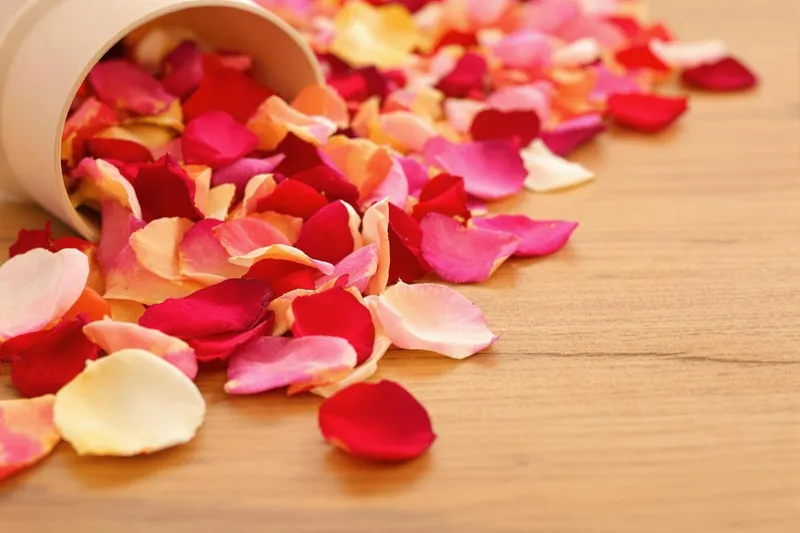 Comment faire sécher des pétales de roses naturellement ?