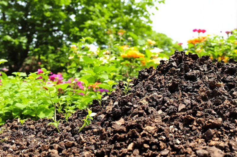 Comment savoir si votre compost est prêt ou va ruiner vos plantes : le test express à essayer