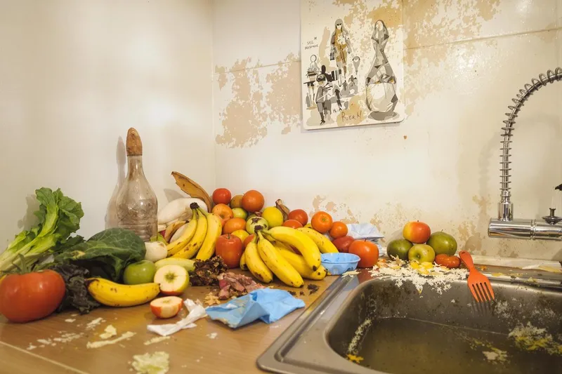 Comment se débarrasser d'une invasion de moucherons dans la cuisine