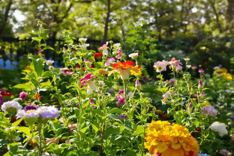 Comment surmonter votre peur des abeilles et profiter de votre jardin en toute quiétude ?