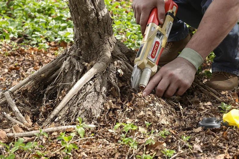 Éliminer les racines d’un arbre coupé efficacement