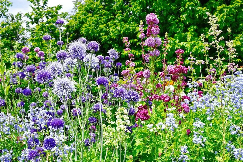 Découvrez comment protéger votre massif fleuri de la canicule avec ces variétés méconnues à planter cet été
