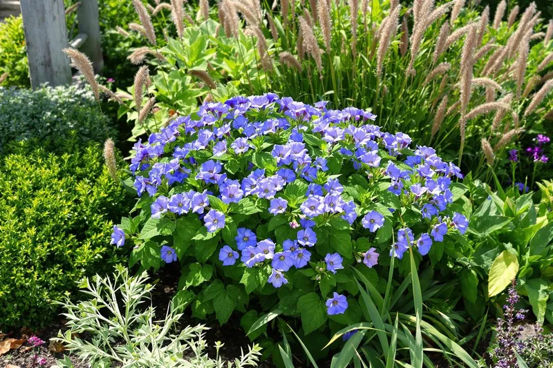 Découvrez la plante élue du siècle : la fleur sublime sans entretien à planter immédiatement