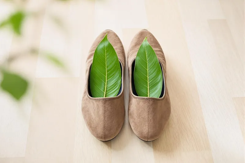 Découvrez pourquoi mettre une feuille de laurier dans vos chaussures peut transformer votre quotidien