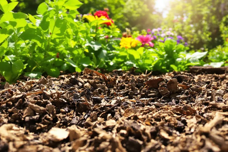 Économisez l'eau cet été avec cette astuce ancestrale qui garde votre sol humide