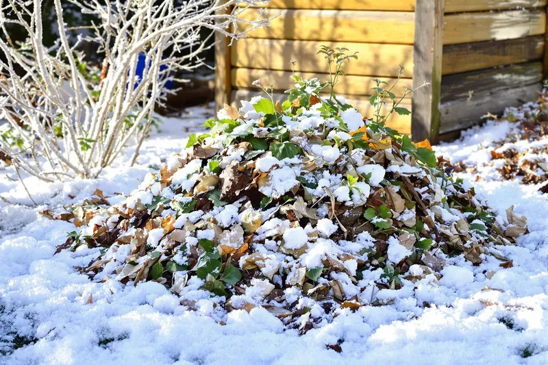 Empêchez votre compost de virer au cauchemar cet hiver : astuces simples pour une décomposition réussie
