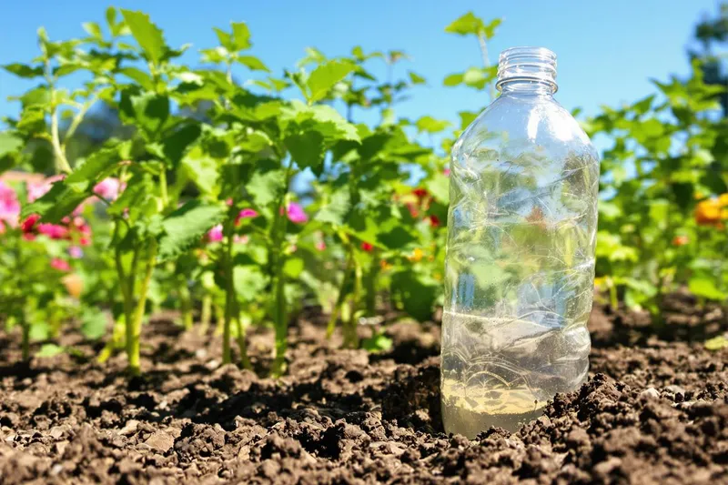 Enterrez une bouteille percée : révolutionnez votre arrosage en pleine chaleur avec cette astuce surprenante