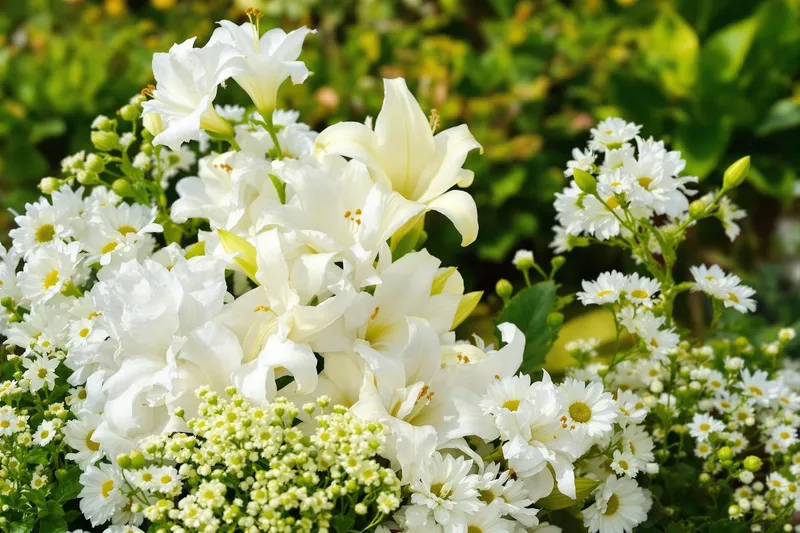 Fleur blanche : guide des variétés et conseils