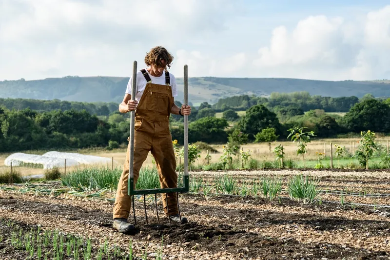 Grelinette ou b&ecirc;che : quel outil choisir pour jardiner efficacement ?
