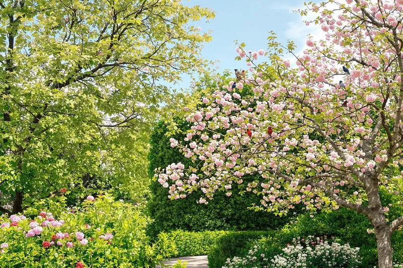 Interdiction dans votre jardin : voici ce que vous ne pouvez plus faire dans votre jardin à partir du 16 mars