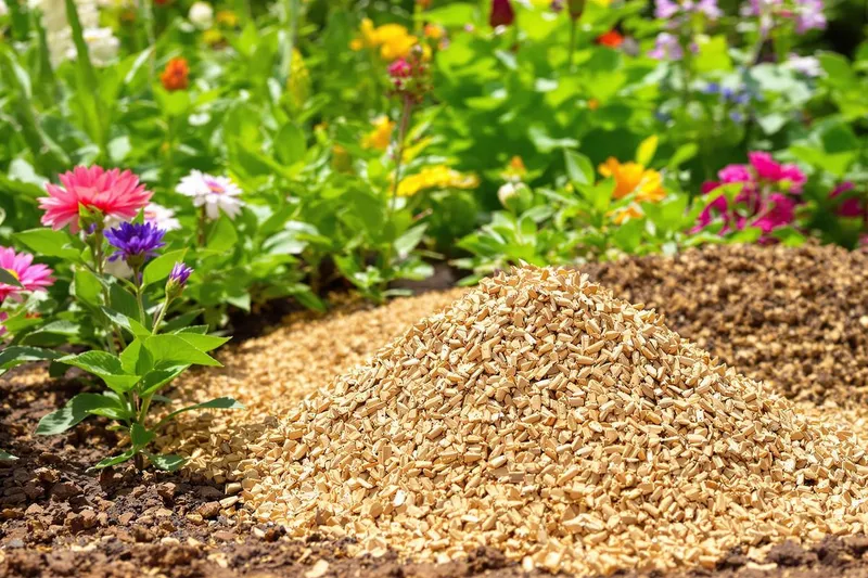 Le paillage naturel méconnu qui révolutionne votre sol sans écorces dès les premiers jours