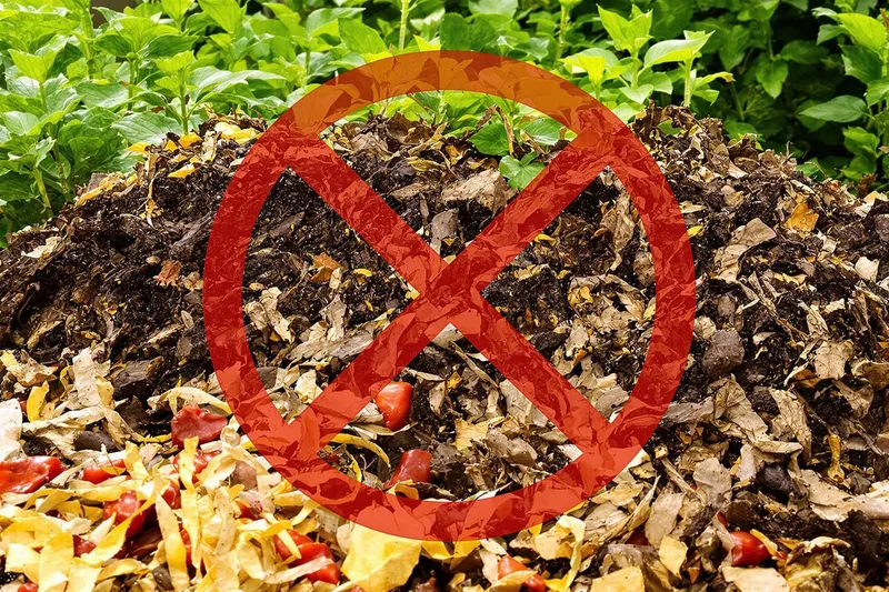 Les 12 erreurs de compostage à éviter absolument pour un jardin sain et productif