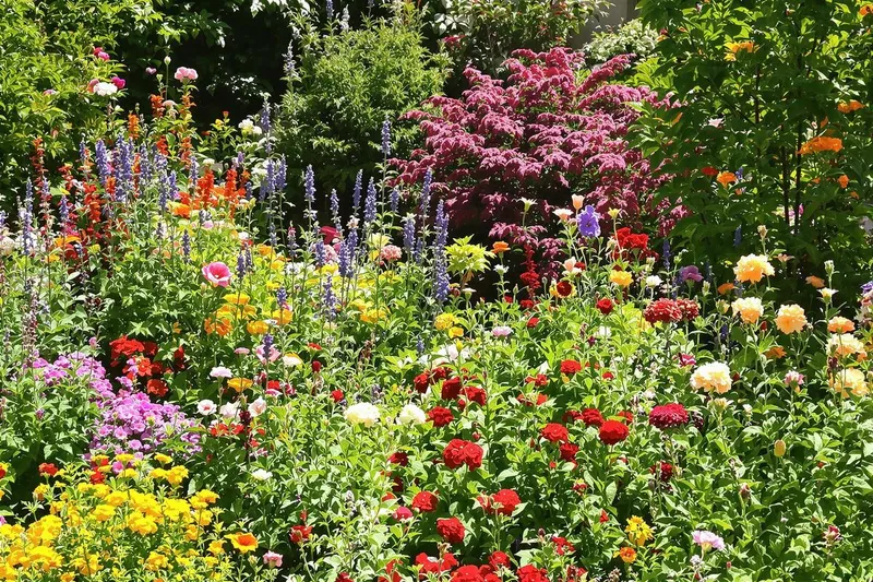 Les 12 meilleures fleurs à planter pour un jardin coloré jusqu'à cet automne