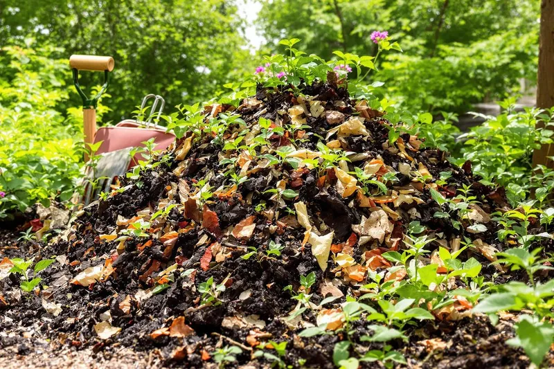 Les 3 accélérateurs de composts surprenants et ultra efficaces à découvrir absolument