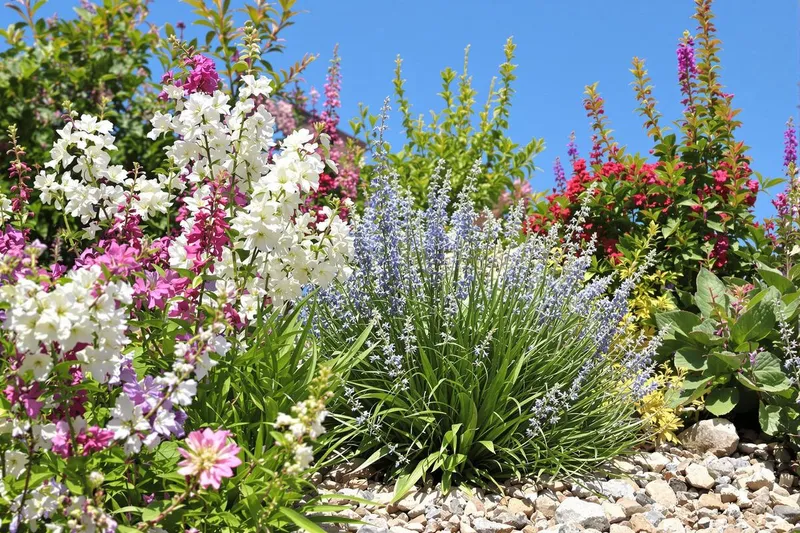 Les 3 vivaces incontournables pour résister à la canicule sans une goutte d'eau