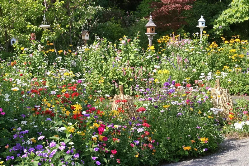 Les 5 gestes simples pour transformer votre jardin en havre de biodiversité