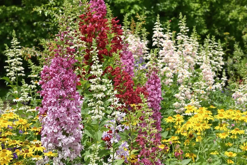 Découvrez les 6 plantes vivaces géantes idéales pour métamorphoser votre jardin sans effort