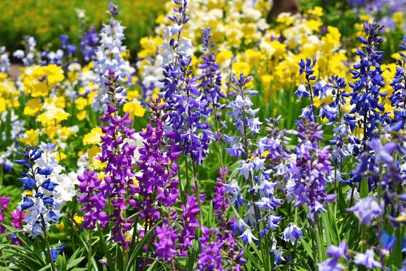 Les cinq joyaux vivaces pour un printemps éclatant dès les premiers rayons