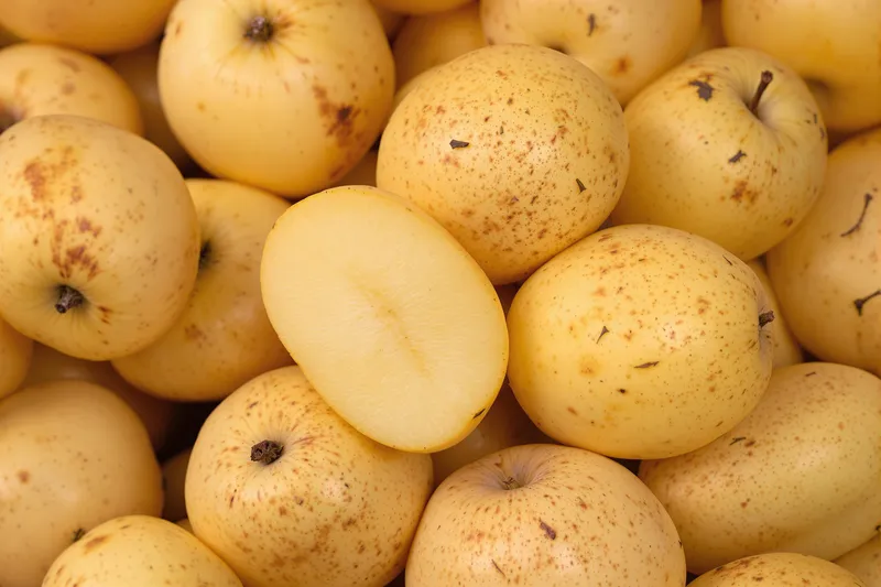 Peut-on vraiment manger des pommes de terre germées ?