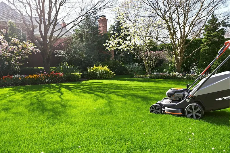 Peut-on tondre sa pelouse en février ? Avantages, risques et conseils