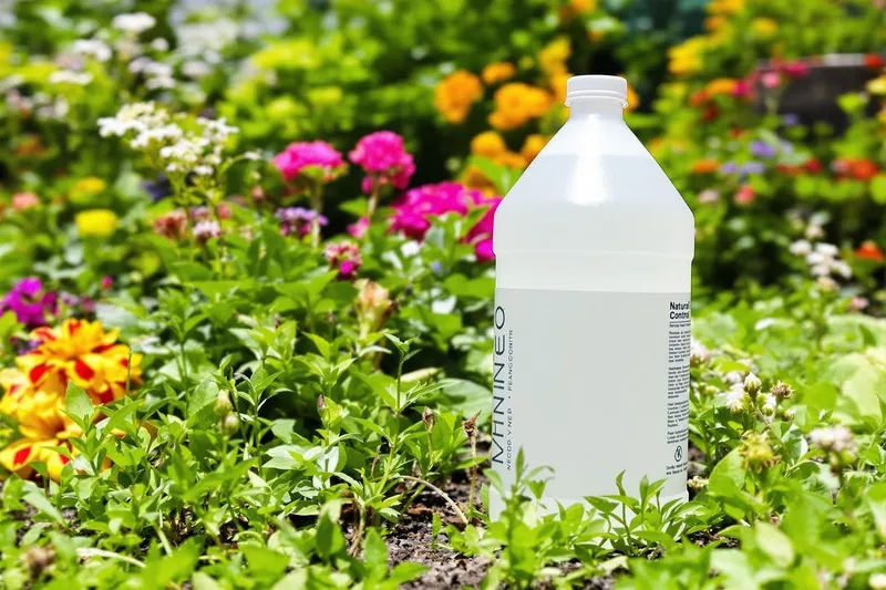 Pourquoi ce désherbant naturel doit être utilisé avec précaution : ce qu'il faut savoir avant de l'employer