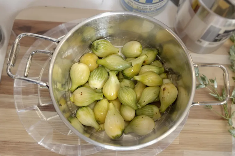 Traitement de la pyrale du buis avec du vinaigre blanc : méthode