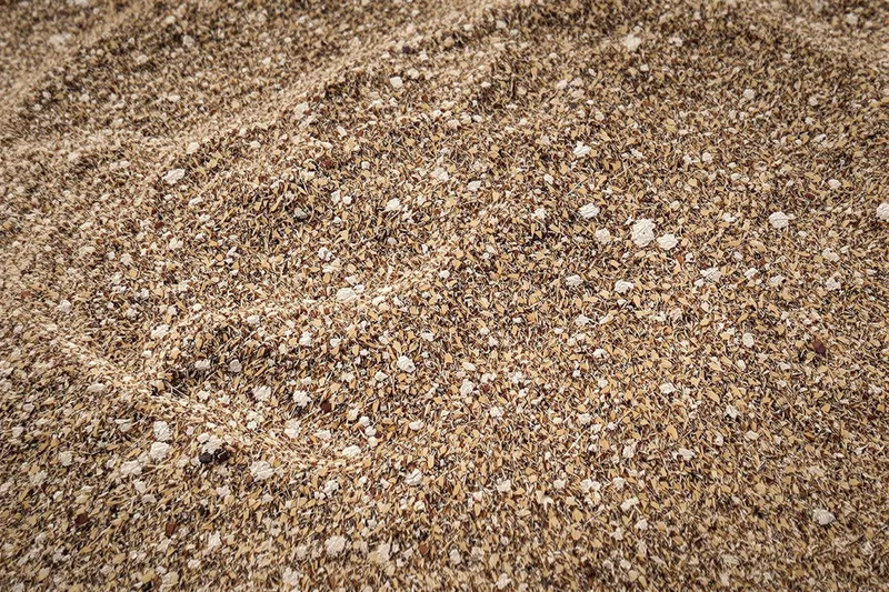 Des remèdes maison pour enlever la mousse dans la pelouse efficacement