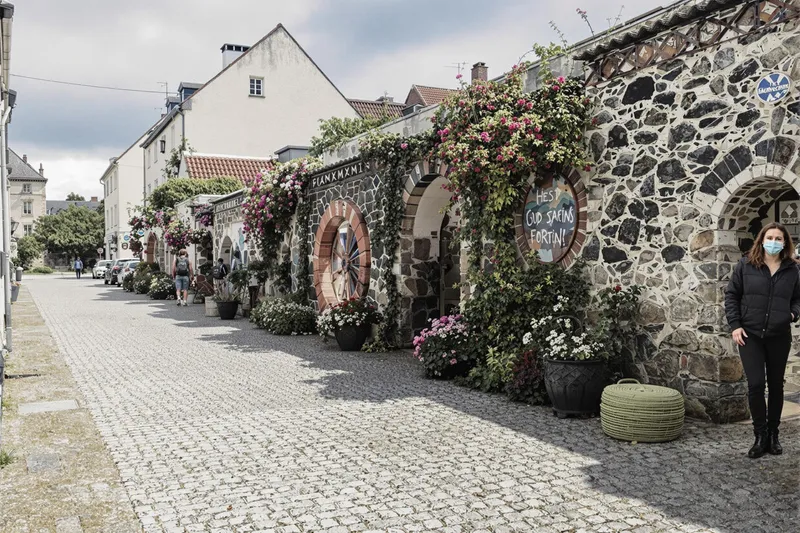 Inconvénients du savonnier : ce qu’il faut savoir