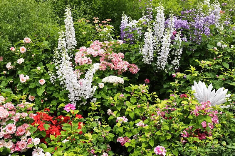 Tailler vos arbustes en mars : le secret d'une floraison estivale spectaculaire