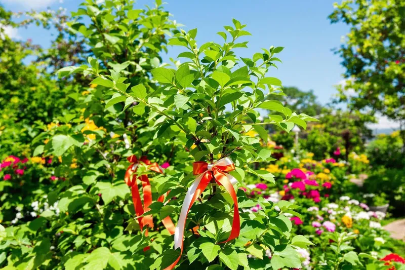 Un geste ancestral à faire en juin : attirez la chance dans votre jardin tout l'été