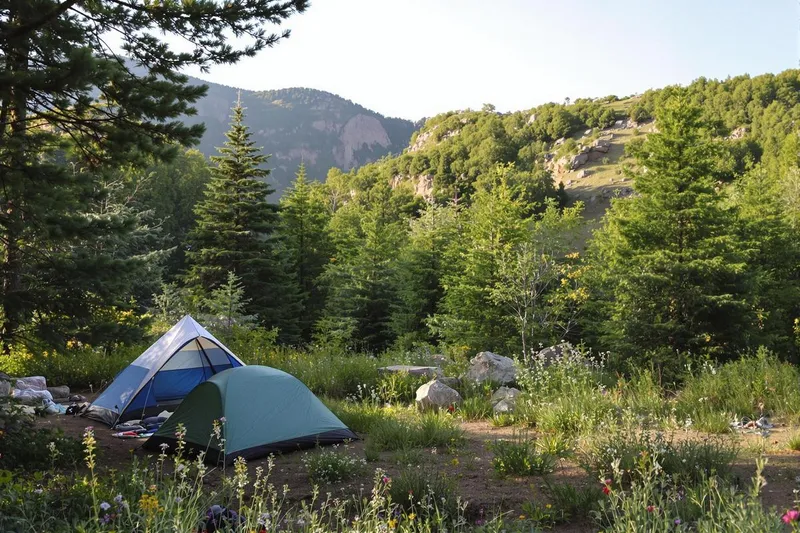 Vipères et camping : l'endroit le plus dangereux pour planter sa tente selon une étude