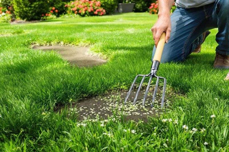 Votre pelouse pleine de trous ? Découvrez le geste de pro qui change tout maintenant